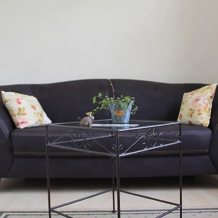 Schoof No2 * Friedrichskoog