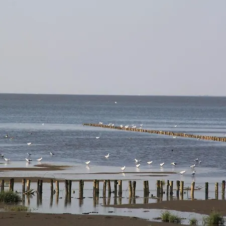 Schoof No2 Apartamento