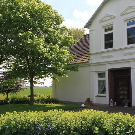 Schoof No2 * Friedrichskoog